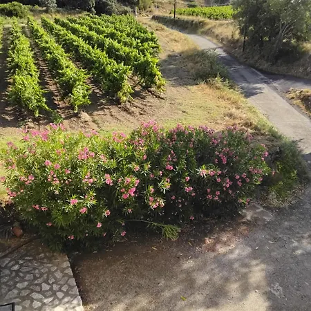 فندق مبيت وإفطار Pradines Saint-Pons-de-Mauchiens